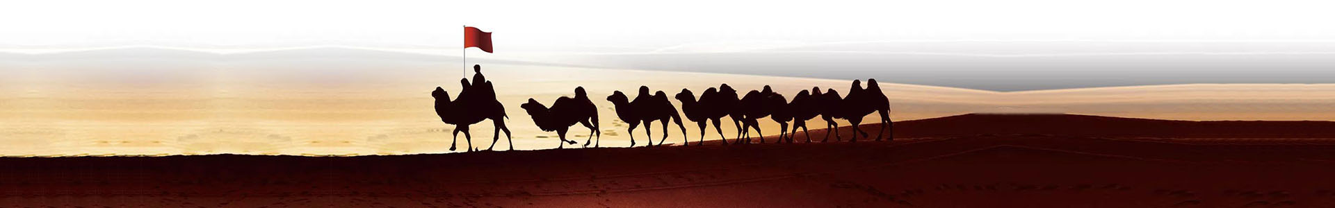 ����k8��������Ӯ��