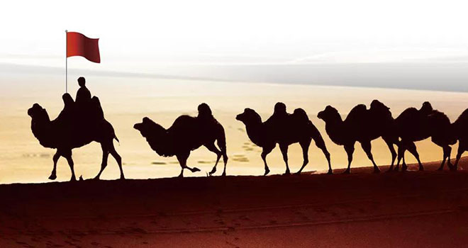 ����k8��������Ӯ��