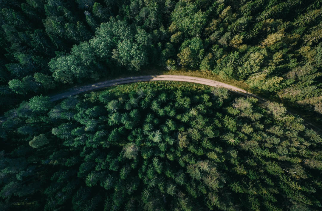 1702607544172410.jpg 1701674380160288.jpg